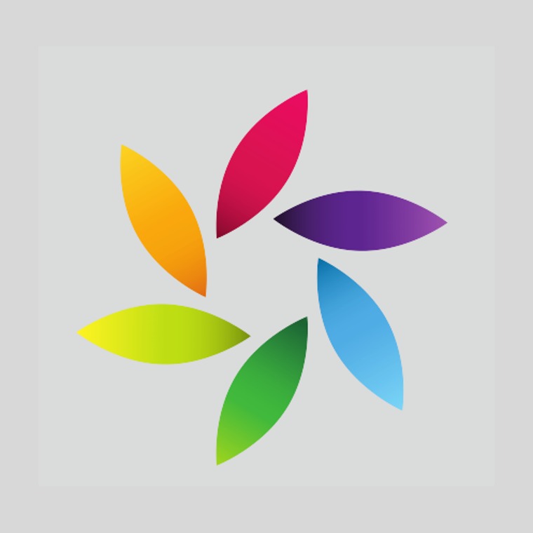 Colorful petal logo identity preview